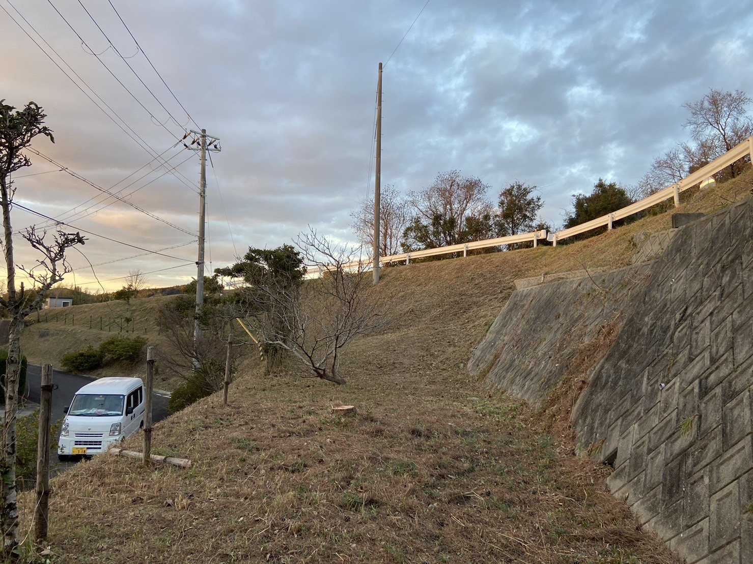 淡路島　住宅地　枯れ木伐採工